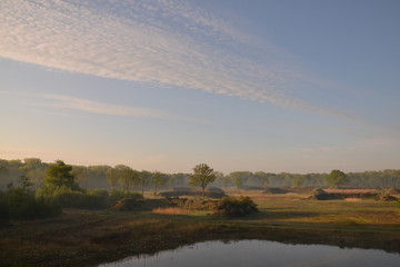 sunrise over the river