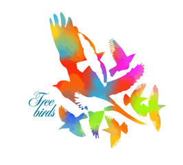The colored flying birds logo. Mixed media. Vector illustration