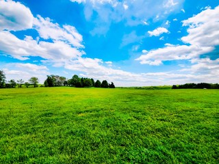 green field and blue sky