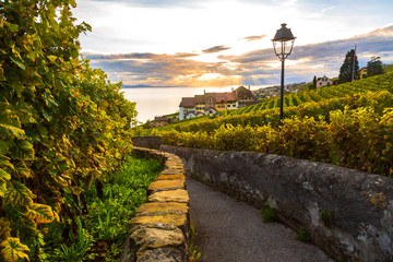 Lavaux, Switzerland: Lake Geneva and traditional swiss hauses during sunset seen from Lavaux vineyard hiking trail in Canton Vaud - obrazy, fototapety, plakaty