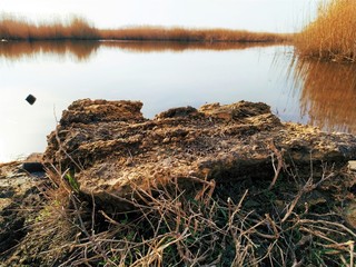 A large stone on the shore of a wide lake with dry reeds