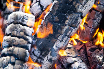 burning firewood at close range. large flames.