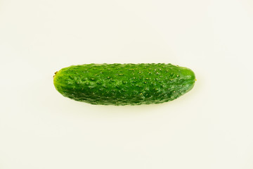 Ripe green cucumber on a white background