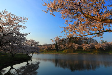 Obraz premium 春の三郎堤