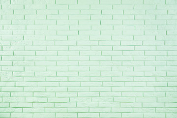 Brick wall as background. Image toned in mint color