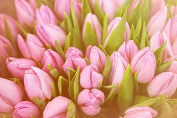 Obraz premium Beautiful bouquet of violet tulip flowers as background, closeup