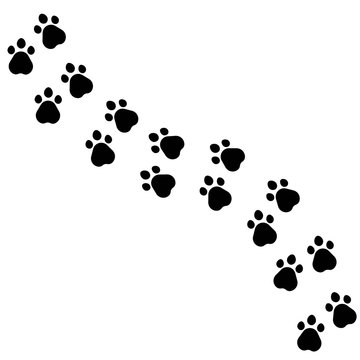 animal foot print logo vector
