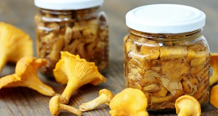 canned chanterelle mushrooms in oil. mushrooms conservation for the winter