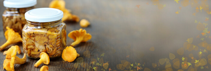 canned chanterelle mushrooms in oil. mushrooms conservation for the winter. copy space. banner,