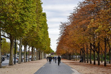 Autumn on the Parisian Champs Elysee avenue with people walking by in the afternoon, with brown leaves falling and a sky with grey clouds