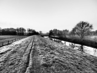 Morgens in den Huntewiesen
