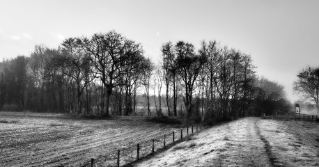 Morgens in den Huntewiesen