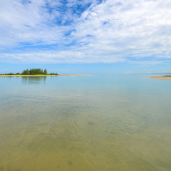 Tropical sea beach with pine tree with beautiful seascape