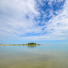 Tropical sea beach with pine tree with beautiful seascape