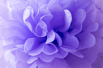 Beautiful lavender tissue paper peony flower background. Eco festive concept.