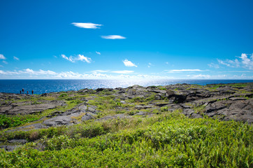 カラエ岬（サウス・ポイント）周辺の景色　ハワイ島　ハワイ・ボルケーノズ・ナショナル・パーク