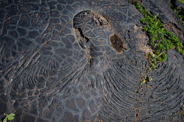 カラエ岬（サウス・ポイント）周辺の景色　ハワイ島　ハワイ・ボルケーノズ・ナショナル・パーク
