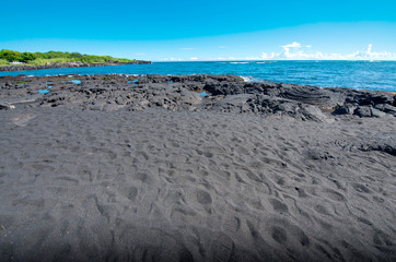 プナルウ黒砂海岸　ハワイ島のカウ沿岸南東部のビーチ