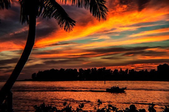 Sunset On The Tropical Beach, Palm, Tree, Sea, Sky, Island, Silhouette, Summer, Evening, Palm Tree, Siesta Key, Florida