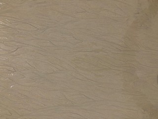 砂浜がつくる模様