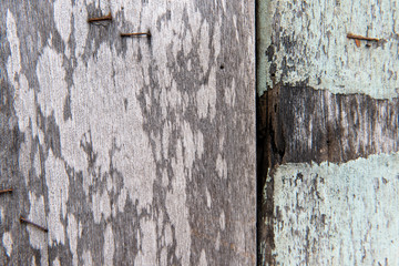 Old wood plank brown for texture background
