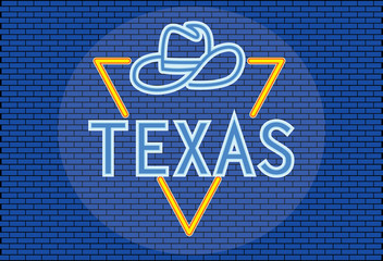 Original concept Real Texas neon text. Vector illustration in neon style suitable for website design and advertising