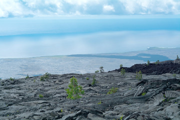 カラエ岬（サウス・ポイント）周辺の景色　ハワイ島　ハワイ・ボルケーノズ・ナショナル・パーク