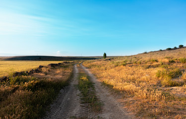 an empty mountain road at sunset