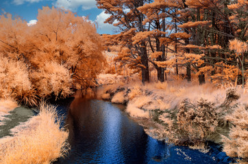 Infrared image of blue river with wooded banks - 351752522