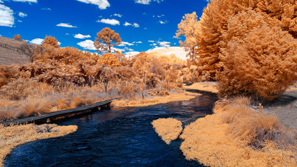 Infrared image of blue river with wooded banks - 351752736