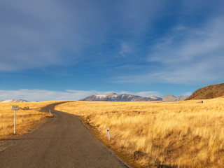 Colorful countryside of tussock and mountains on the way to Mt.John, Tekapo, South Island, New Zealand.