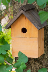Beautiful natural wooden birdhouse in the garden