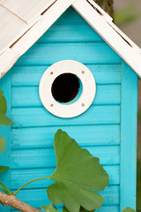 Beautiful blue birdhouse in the garden