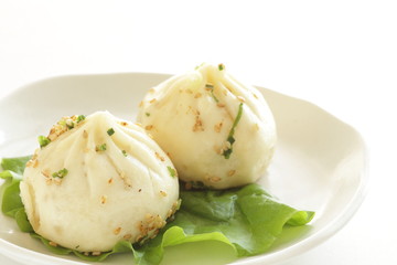 Chinese food, dumping Sheng Jian Bao pan fried meat bun