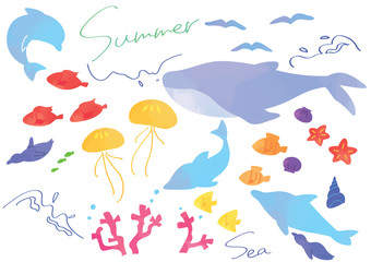 海の生き物　カラフル　イラストセット