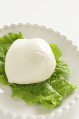 Mozzarella cheese on wooden plate with copy space