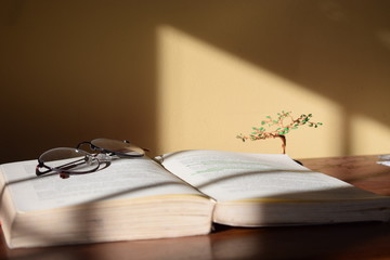 old book and glasses