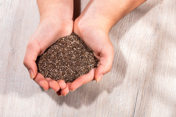 Salvia hispánica - Hands holding chia seeds