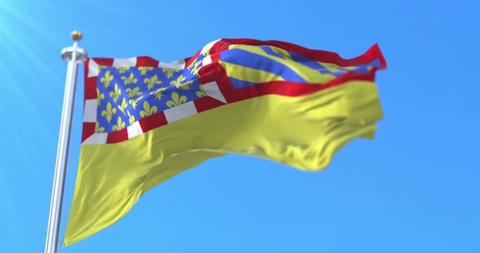 Flag of department of Cote-d'Or in Bourgogne-Franche-Comte region, France. Loop