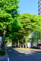 新緑の杜の都　仙台