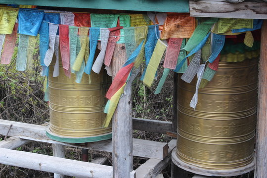 「実に」の画像 10,854 件の Stock 写真、ベクターおよびビデオ Adobe Stock