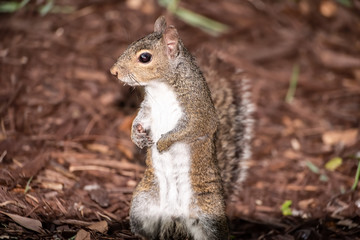 Heres looking at you!