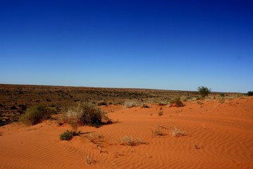 Simpson Desert with Sand Dunes.