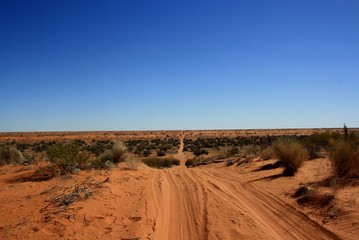Fototapeta na wymiar Simpson Desert on the French Line.
