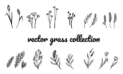 Doodle grass set for wedding, greeting or invitation card design. Vector floral illustrations isolated on white background.