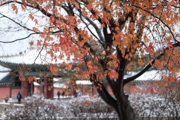 Snowy Korean Architecture
