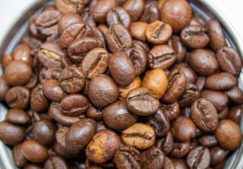 Closeup picture of coffee bean grinder and coffee bean