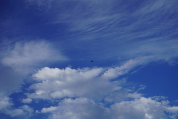 空と雲と鳥