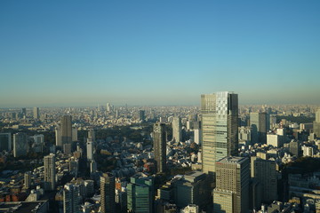 Fototapeta premium 東京の風景