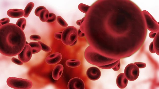 Animation of several red blood cells moving